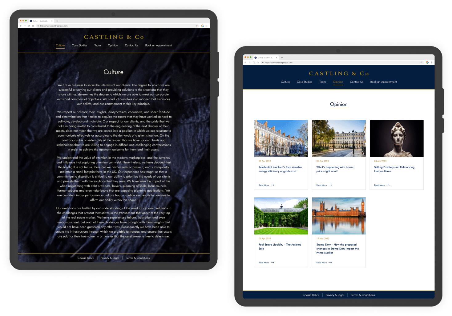 castling website design by chetaru