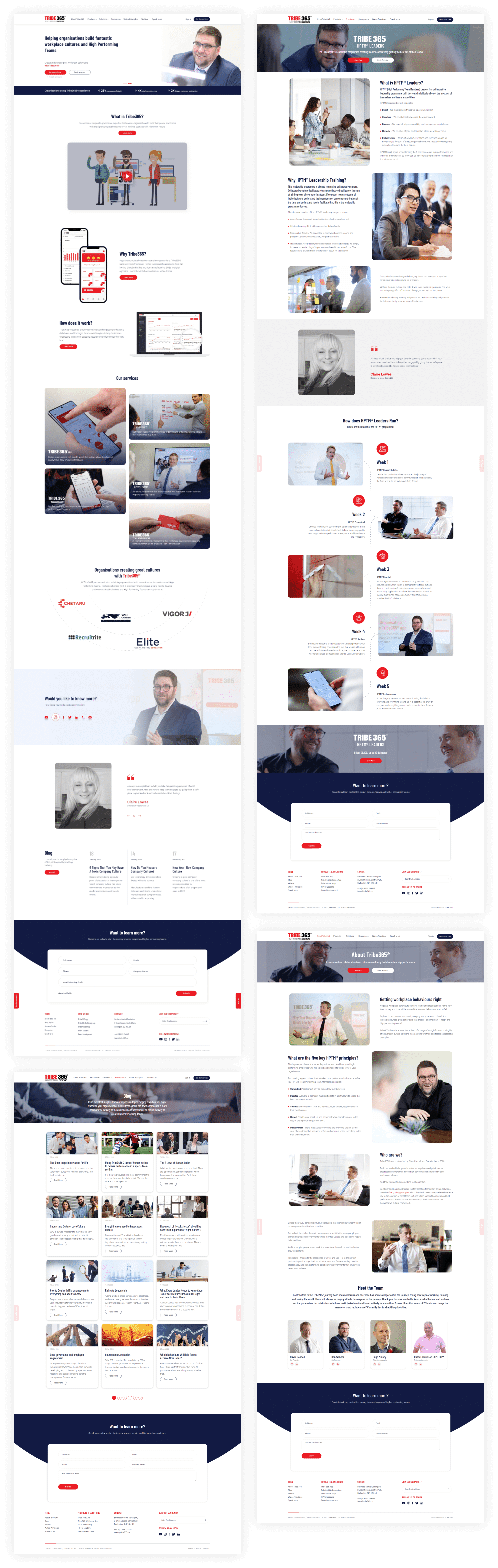 tribe 365 web development by chetaru