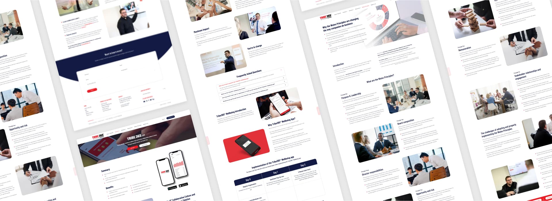 tribe365 app development by chetaru