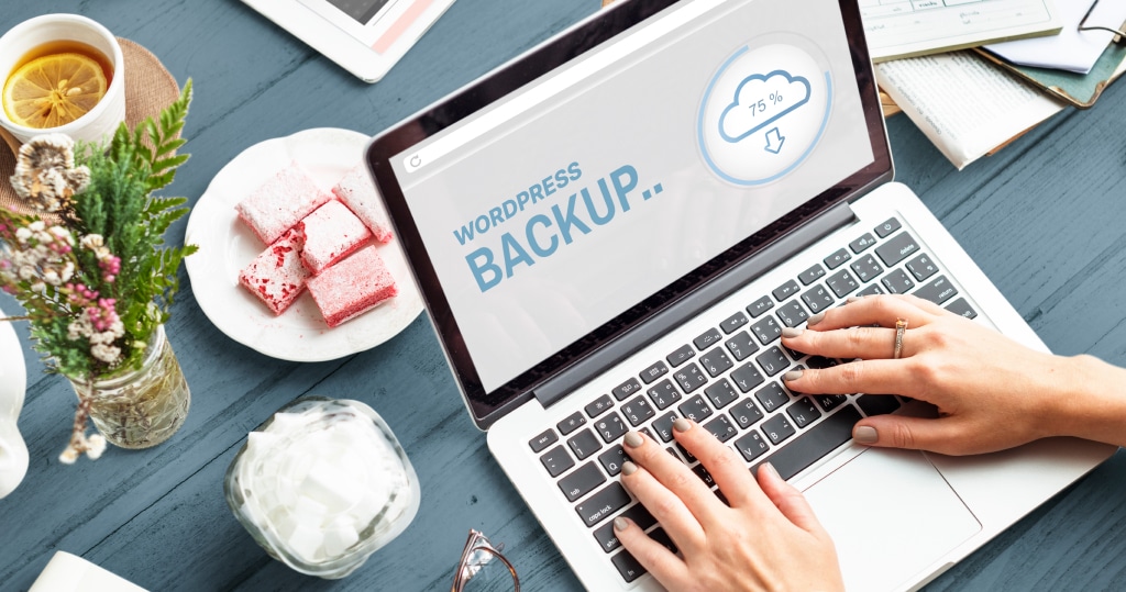 Fear No Data Loss: Harnessing the Power of WordPress Backups