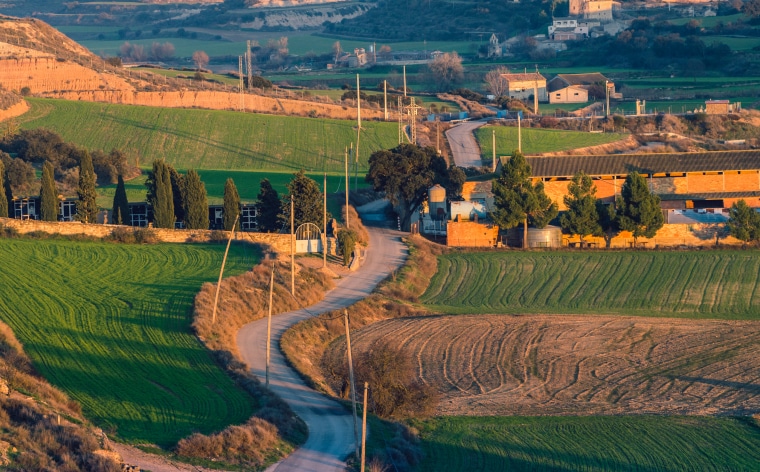 Business Idea For Rural Areas