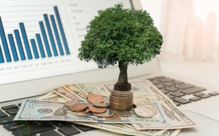 How To Start A Business Without Investment