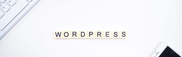how to delete wordpress theme